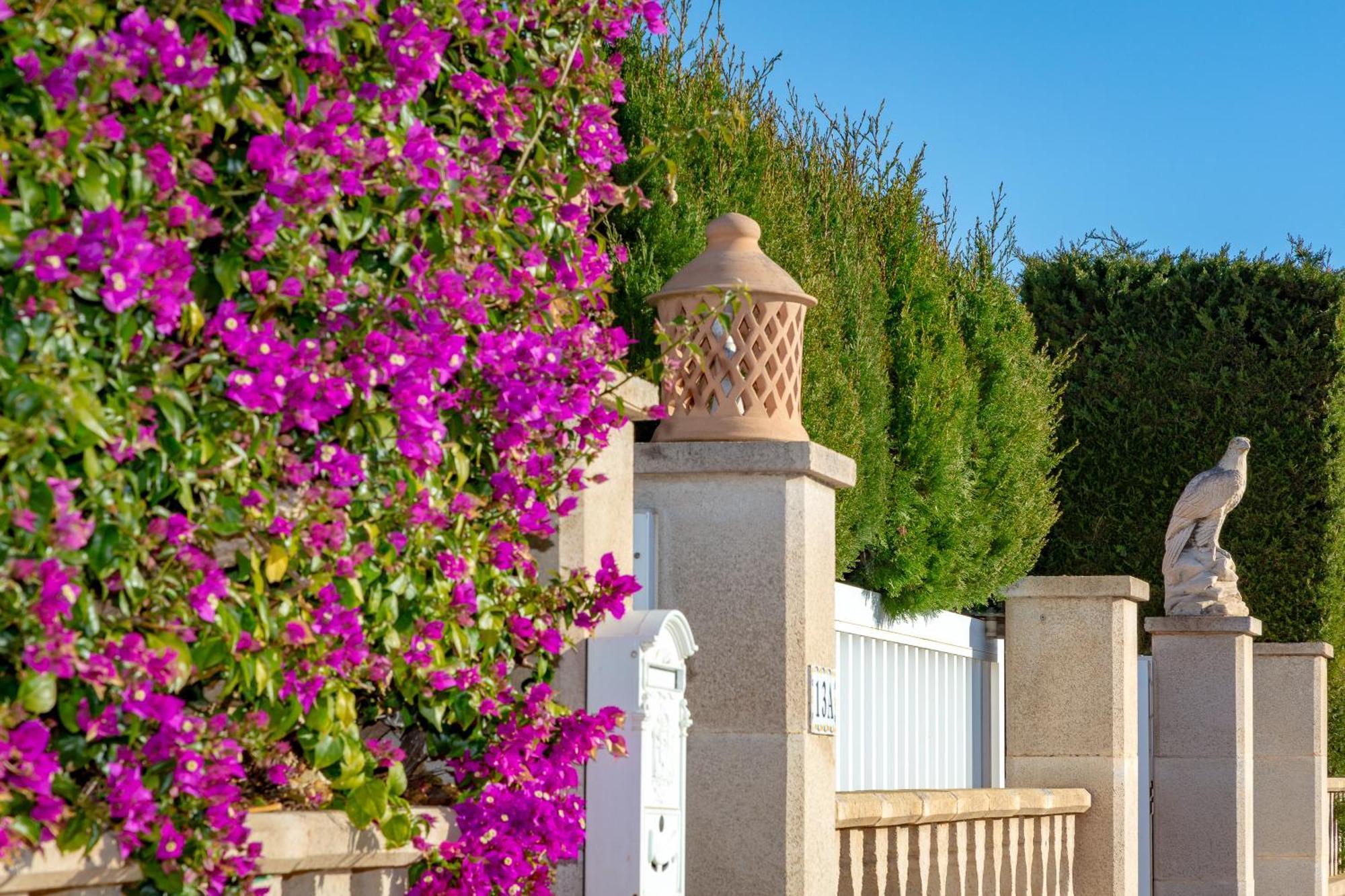 Villa Palmera Palma Kültér fotó